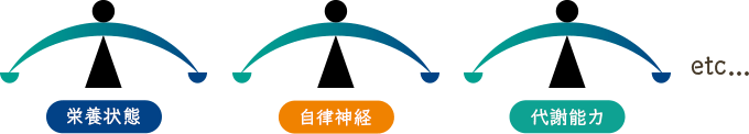 天秤は身体の内部バランスの数だけ存在します。